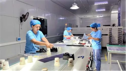 疏勒县新能源产品闪耀喀交会 20余款创新成果引领新兴能源技术研发潮流