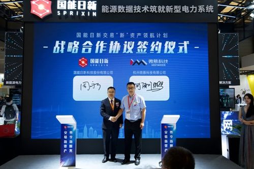 国能日新交易 新 资产计划启动